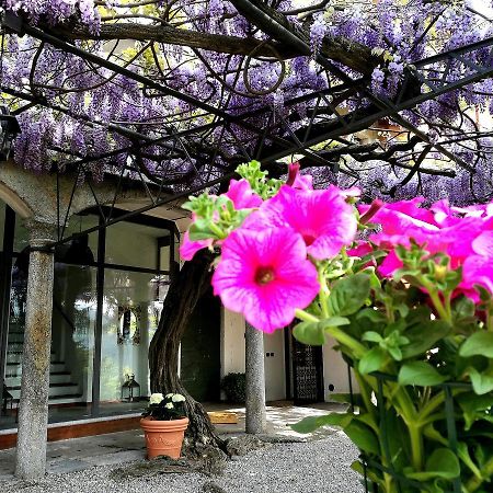 مازلِيانيكو Antico Glicine B&B المظهر الخارجي الصورة