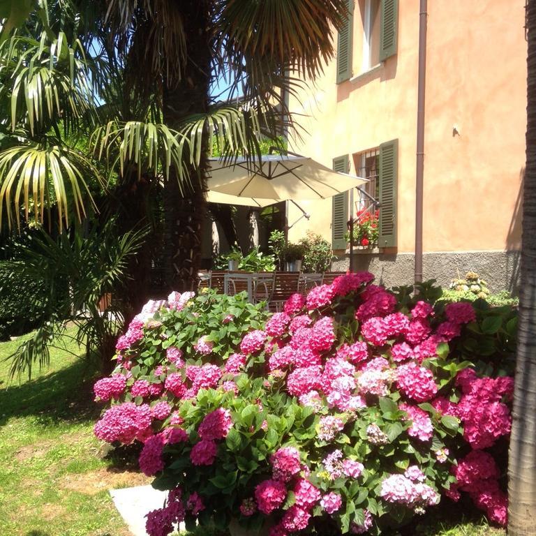 مازلِيانيكو Antico Glicine B&B المظهر الخارجي الصورة