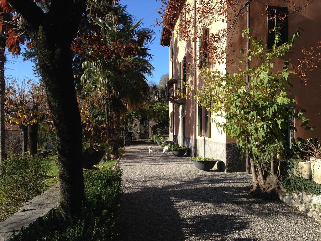 مازلِيانيكو Antico Glicine B&B المظهر الخارجي الصورة
