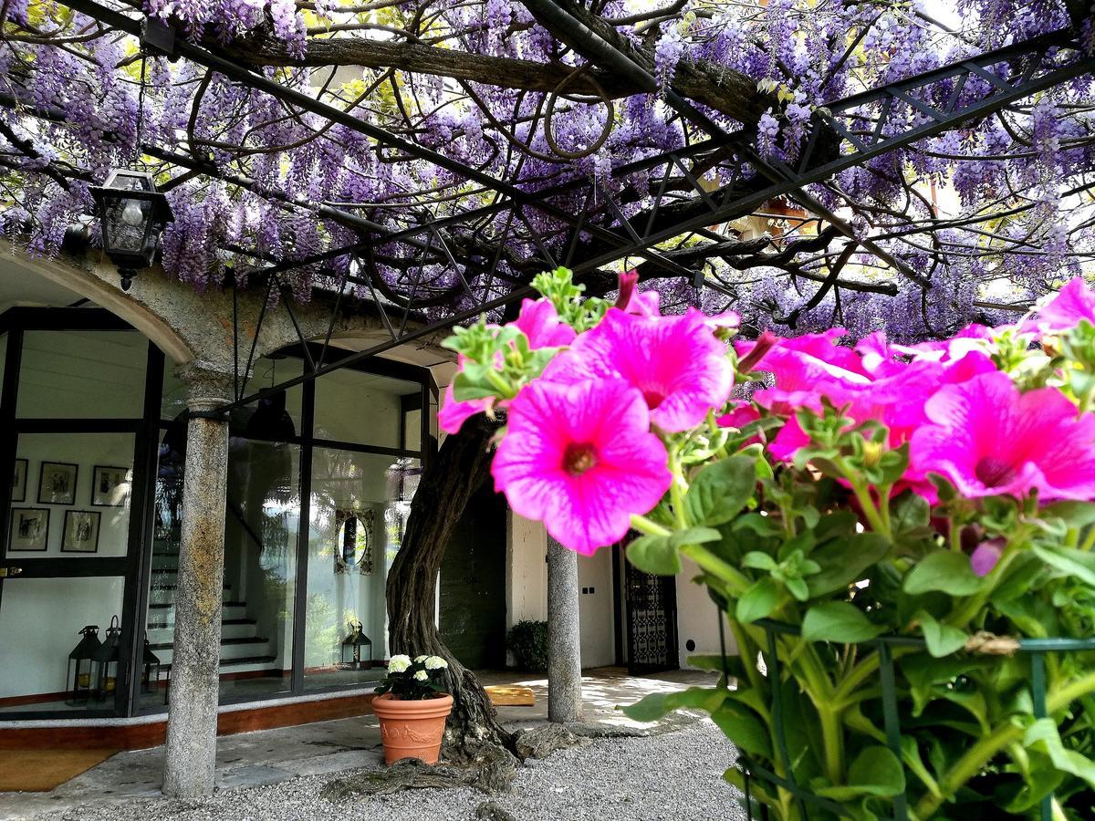 مازلِيانيكو Antico Glicine B&B المظهر الخارجي الصورة